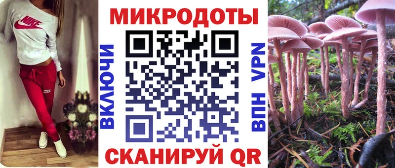 Псилоцибиновые грибы Psilocybine cubensis  Кизилюрт 